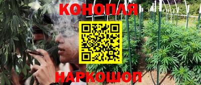 дмт Заволжье