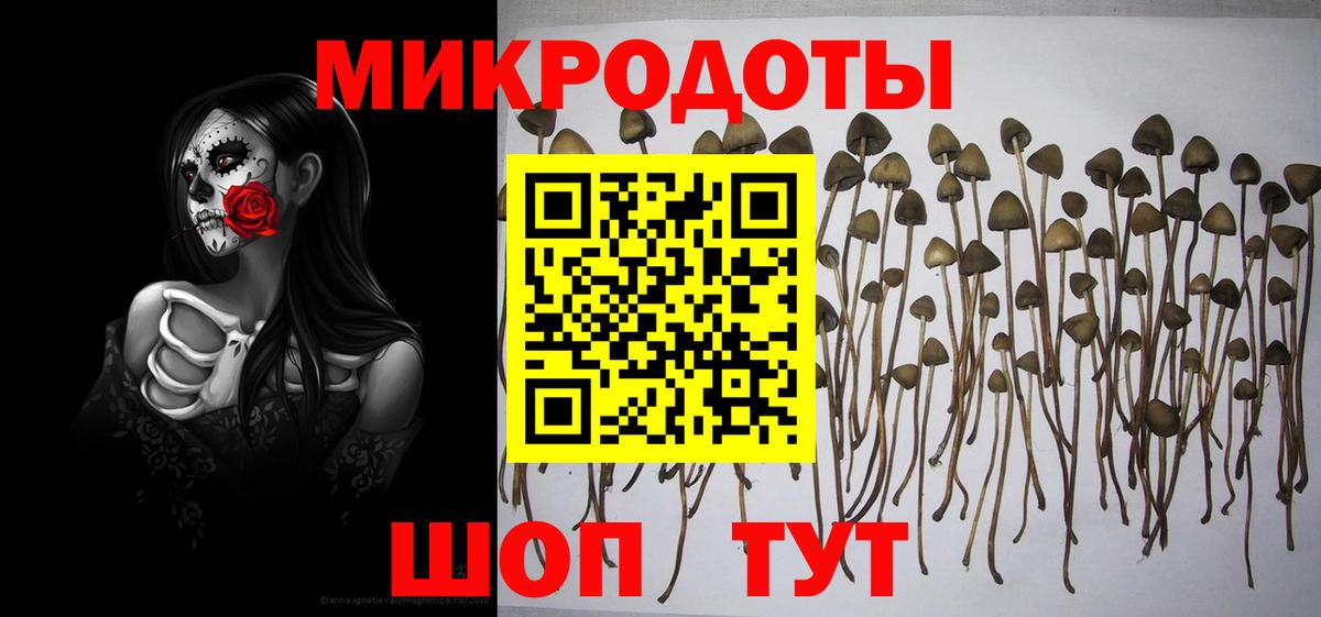 наркошоп  Вход с VPN  Моздок  Галлюциногенные грибы мухоморы 